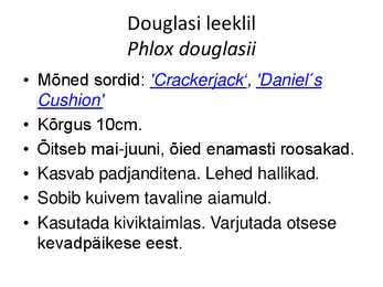 PÜSILILLED #25