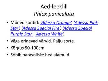 PÜSILILLED #5