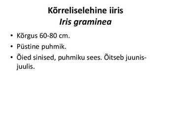 PÜSILILLED #69