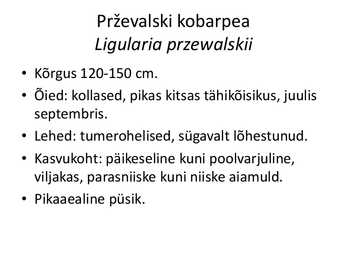 PÜSILILLED #83