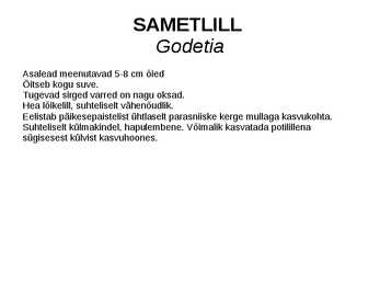 SUVELILLED #19