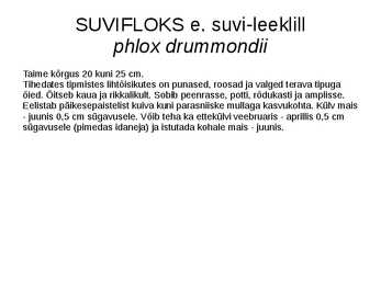 SUVELILLED #5