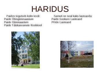 PAIDE LINN #6