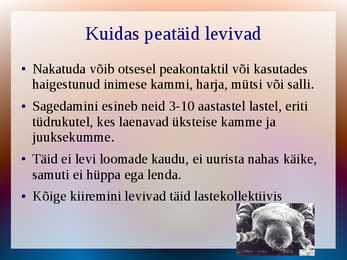 Powerpoint peatäide kohta #3