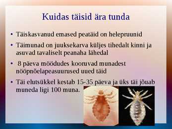 Powerpoint peatäide kohta #4