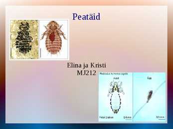 Powerpoint peatäide kohta