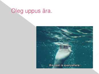 Kuidas elad-Ann fotoromaan #7