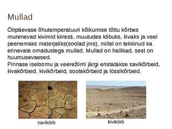 Kõrbed #6