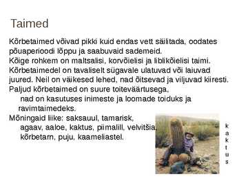 Kõrbed #8