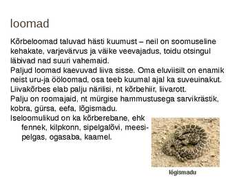 Kõrbed #9