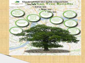 Urban Forestry #13