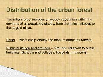 Urban Forestry #6
