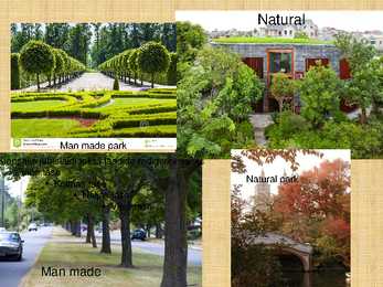 Urban Forestry #8