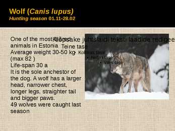 Hunting in Estonia #15