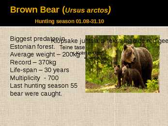 Hunting in Estonia #5