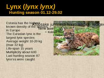 Hunting in Estonia #9
