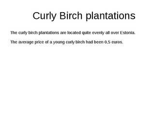 Curly Birch in Estonia #5