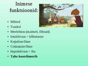 Inimtüüpide maagiline maailm #14