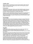 Keskkooli kogu materjal budismist #4