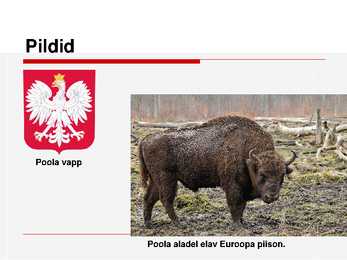 Poola esitlus #11