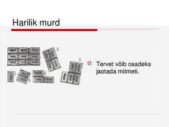 Harilikud murrud #5