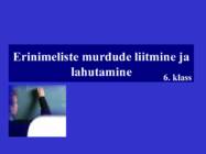 Erinimeliste murdude liitmine ja lahutamine