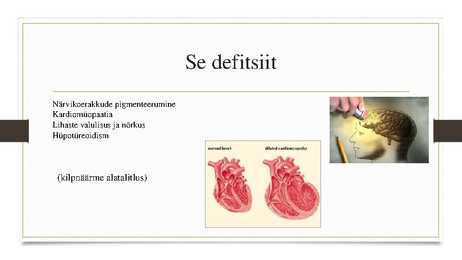 Seleen #6