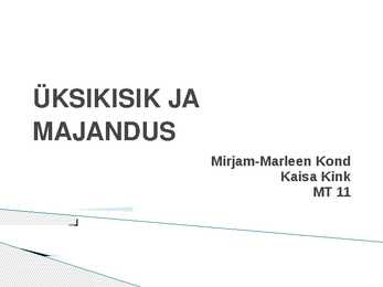 Üksikisik ja majandus