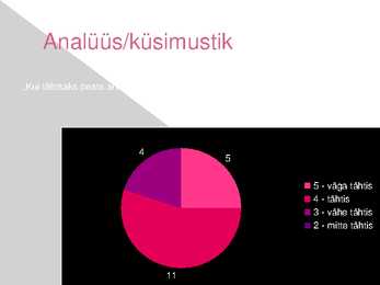 Tänavaküsitlus arvuti kasutamine powerpoint #8