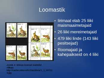 Iirimaa iseloomustus #7