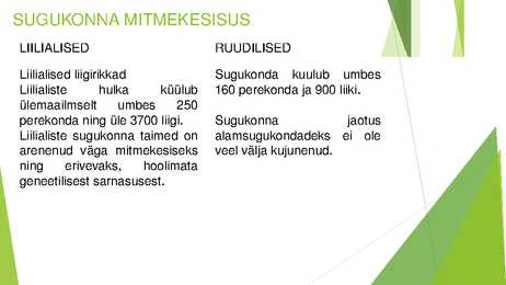 Liilialised ja ruudilised #3