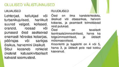 Liilialised ja ruudilised #5