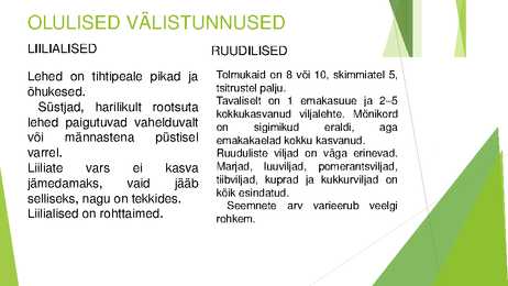 Liilialised ja ruudilised #6