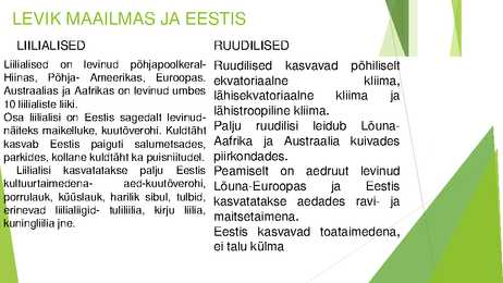 Liilialised ja ruudilised #8