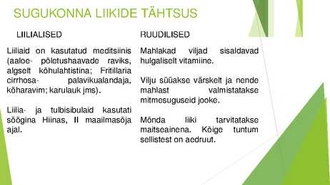 Liilialised ja ruudilised #9