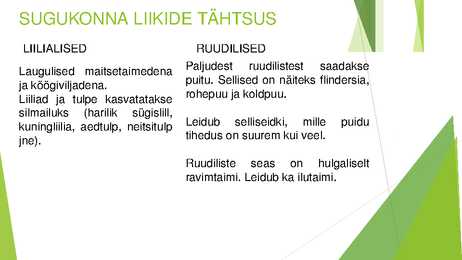 Liilialised ja ruudilised #10