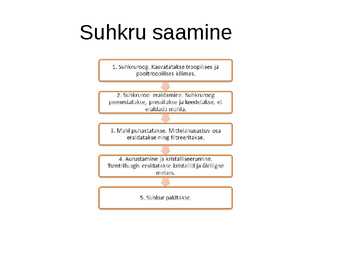Suhkruroog #9