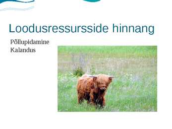 Esitlus hiiiumaa kohta #13
