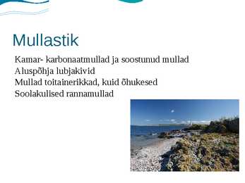 Esitlus hiiiumaa kohta #8