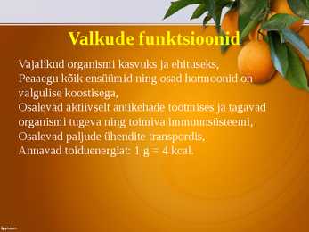 Toitumise põhitõed #8