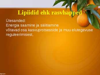 Toitumise põhitõed #9