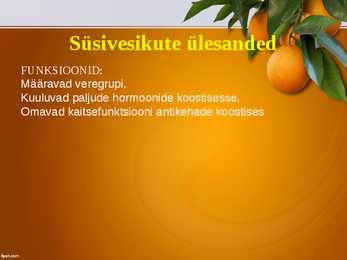 Toitumise põhitõed #10