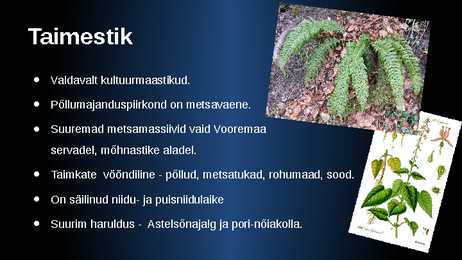 Vooremaa maastikurajoon #8