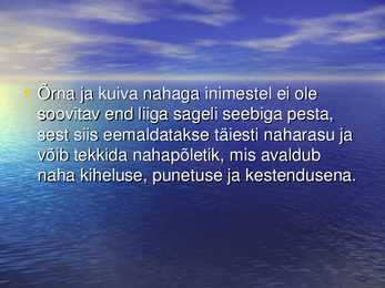 Seep #16