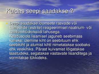 Seep #4
