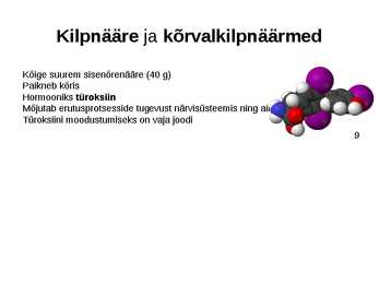 Sisenõrenäärmed #9