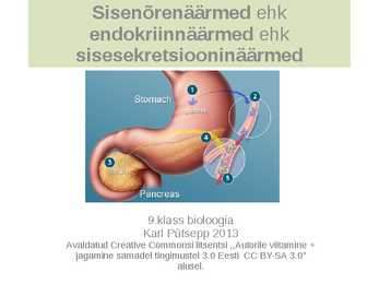 Sisenõrenäärmed