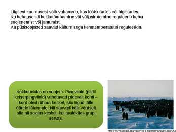 Kõigusoojasus ja püsisoojasus-raskete aegade üleelamine #17