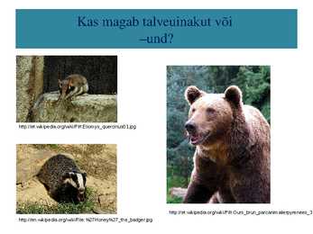 Kõigusoojasus ja püsisoojasus-raskete aegade üleelamine #20