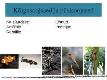 Kõigusoojasus ja püsisoojasus-raskete aegade üleelamine #4